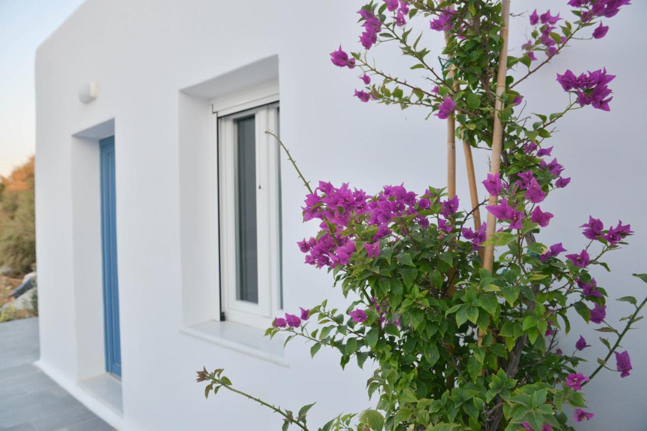 Blue Paradise Apartments Naxos City Ngoại thất bức ảnh